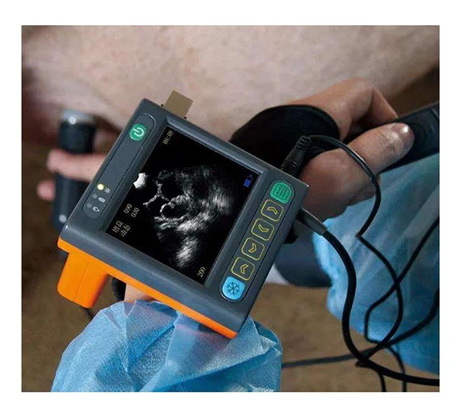 China veterinary ultrasound with probe China veterinary ultrasound with probe