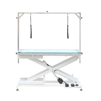 বৈদ্যুতিক কুকুর টেবিল